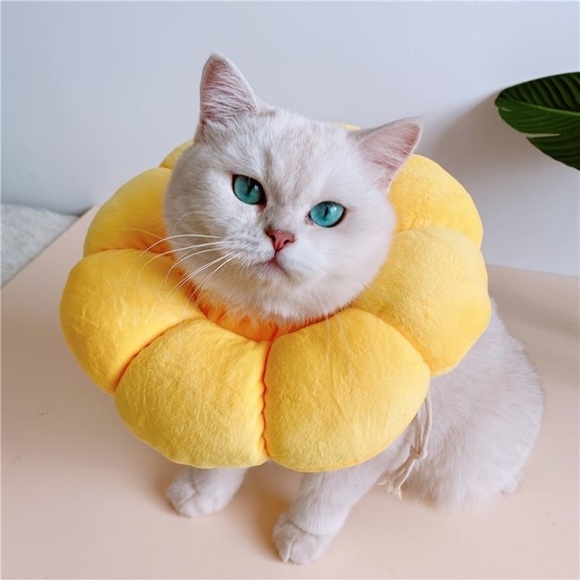 Sunflower Pet Recovery Neck Cone Collar - Picture 9 of 14
